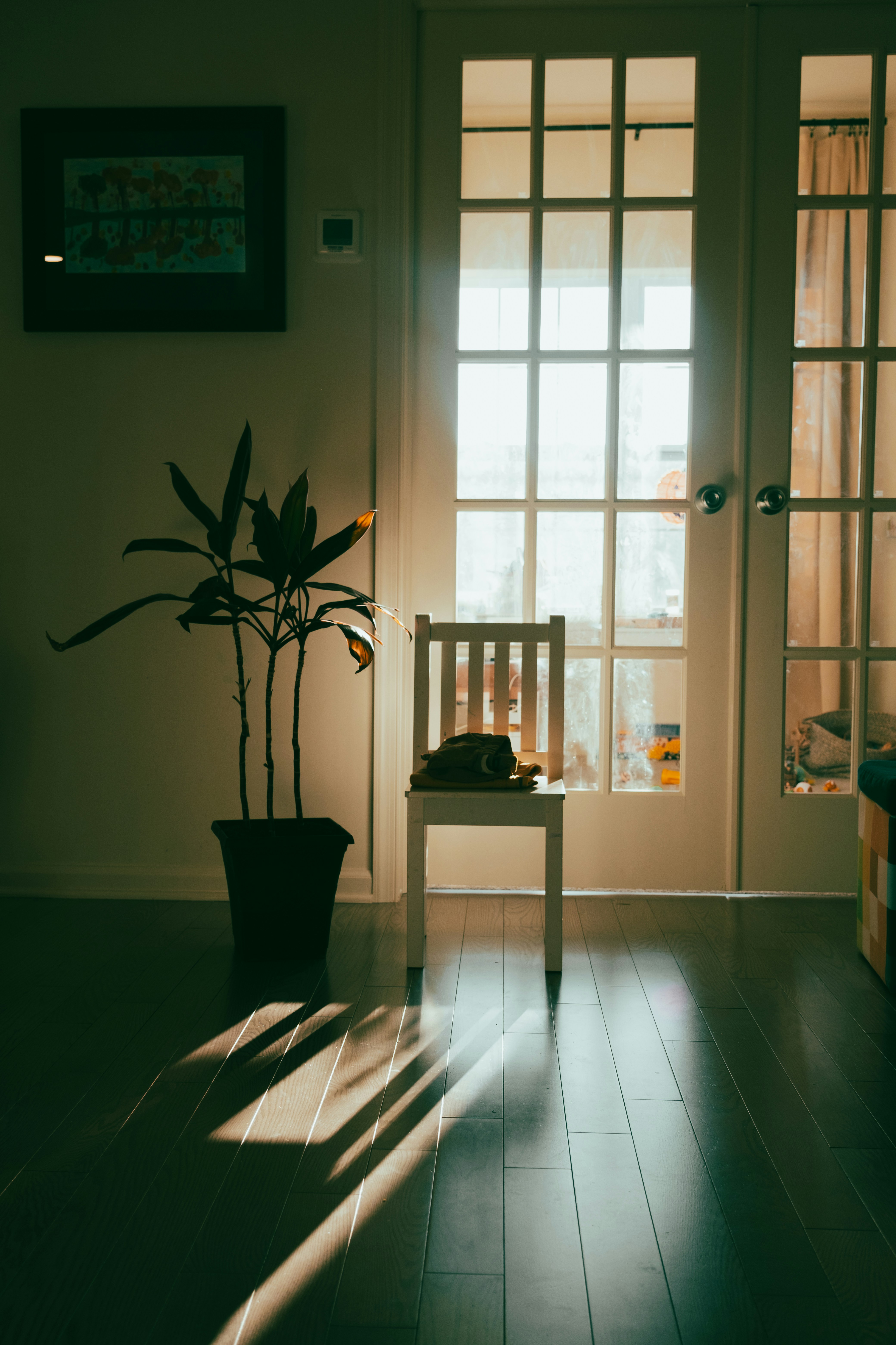 Quiet room with soft afternoon light